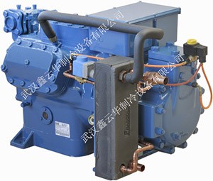 孝感新型雙級(jí)內(nèi)置活塞機(jī)