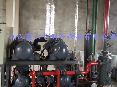 孝感湖北省某水產(chǎn)公司32噸速凍冷庫(kù)